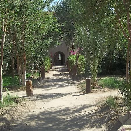 Nour El Balad Hotel Luxor Eksteriør billede