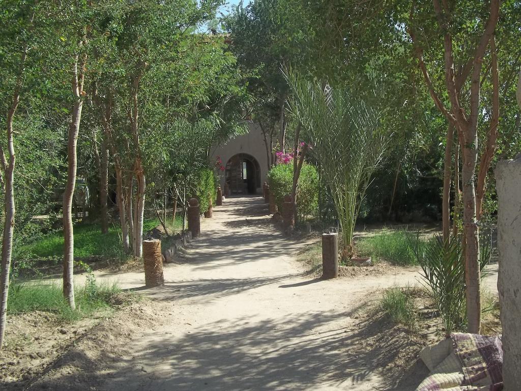Nour El Balad Hotel Luxor Eksteriør billede